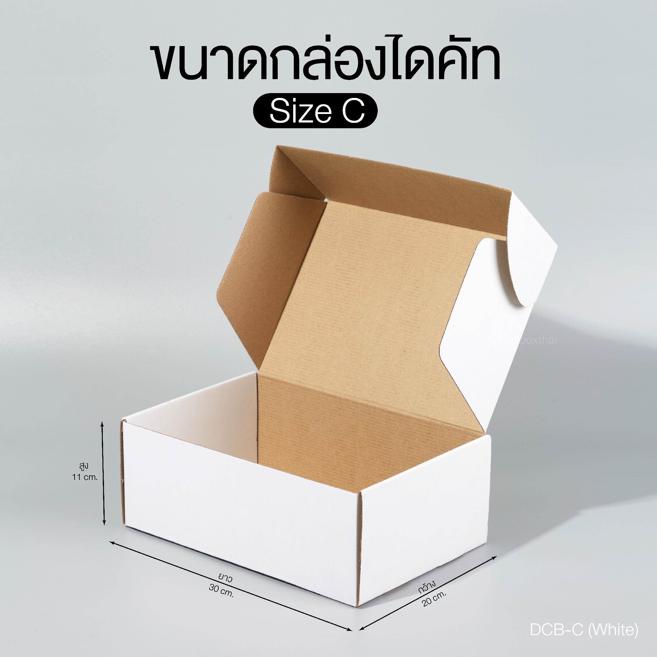 กล่องไดคัท C.jpg